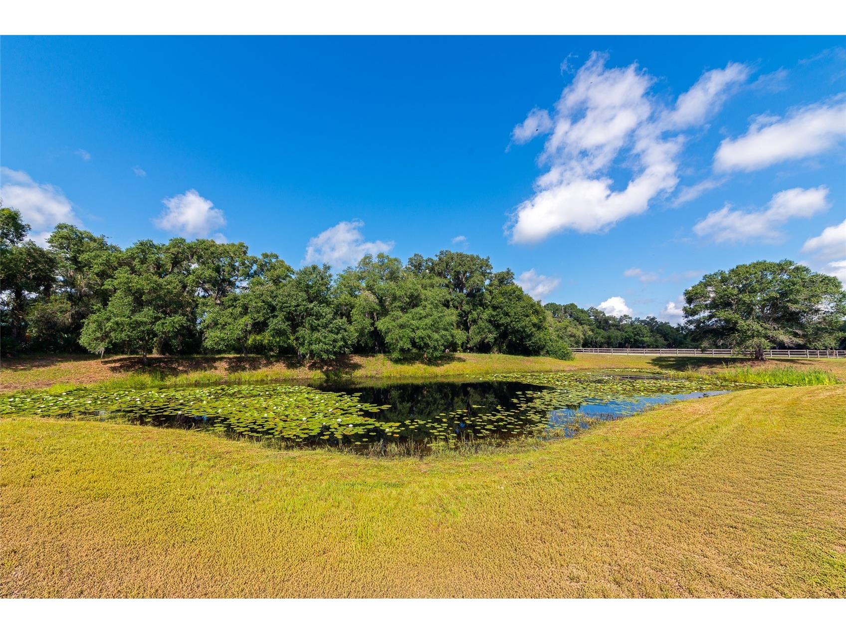 14705 Mossy Hammock Lane Myakka City FL 34251 A4694074 image45