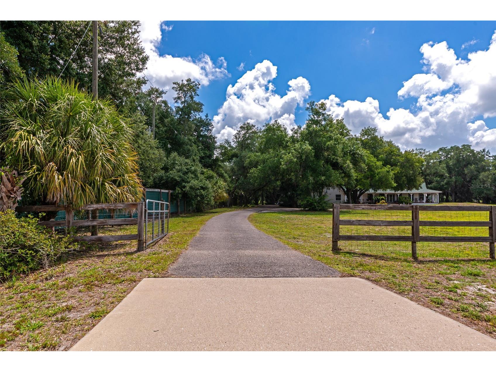 14705 Mossy Hammock Lane Myakka City FL 34251 A4694074 image51