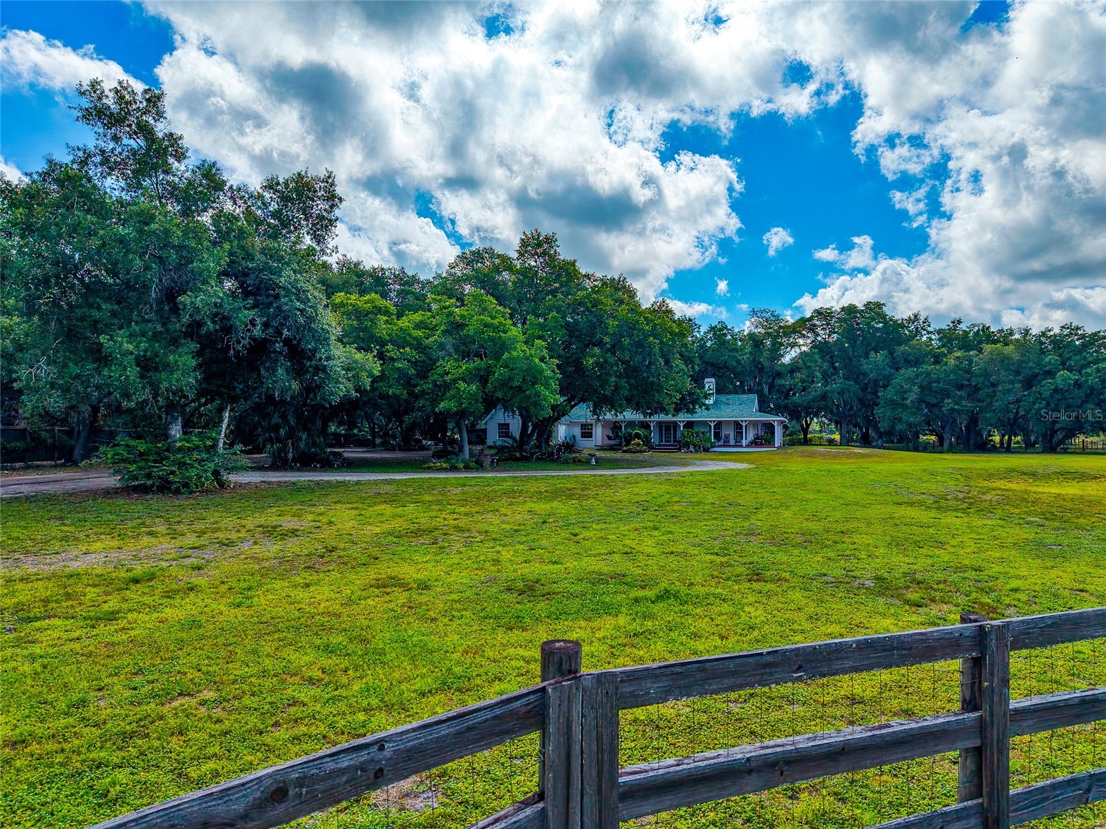14705 Mossy Hammock Lane Myakka City FL 34251 A4694074 image53