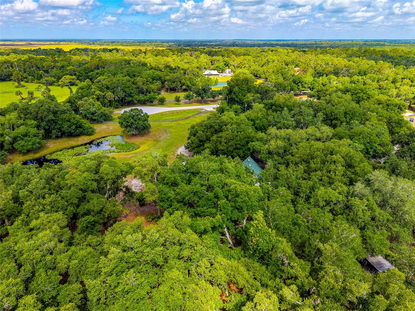 14705 Mossy Hammock Lane Myakka City FL 34251 A4694074 image62