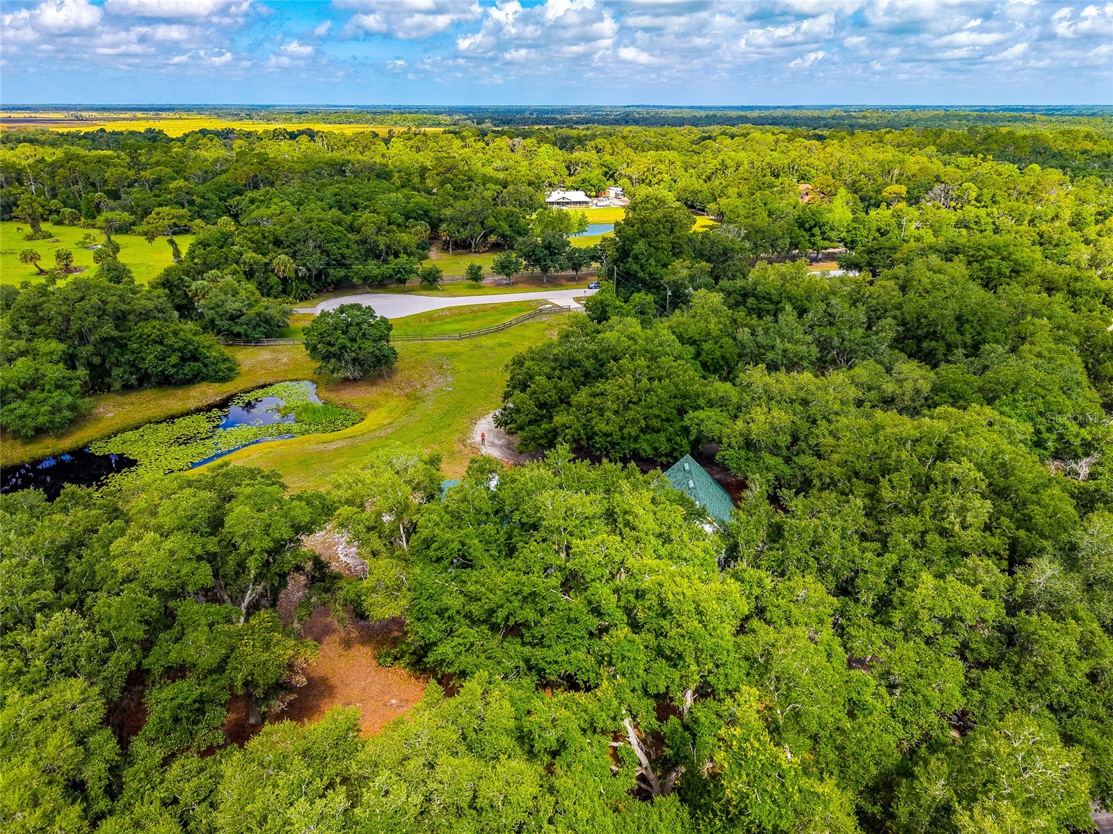 14705 Mossy Hammock Lane Myakka City FL 34251 A4694074 image63