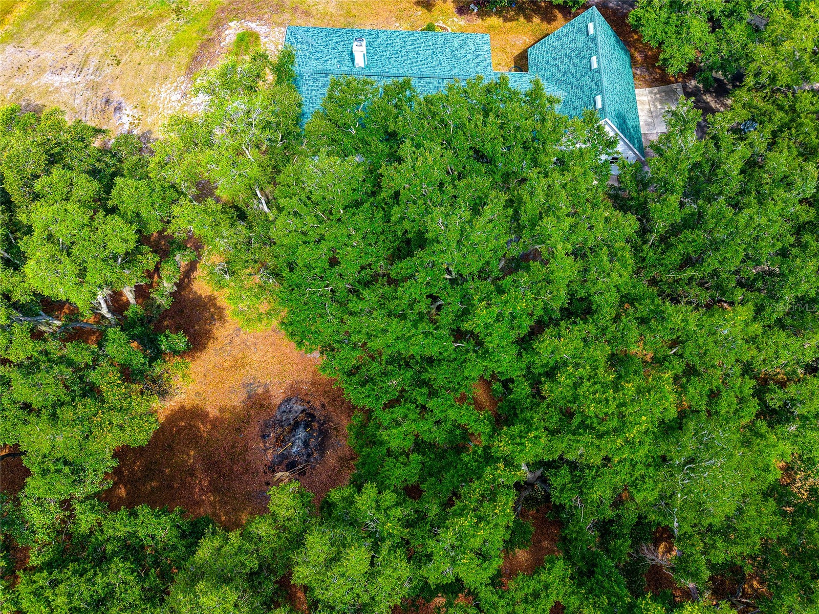 14705 Mossy Hammock Lane Myakka City FL 34251 A4694074 image64