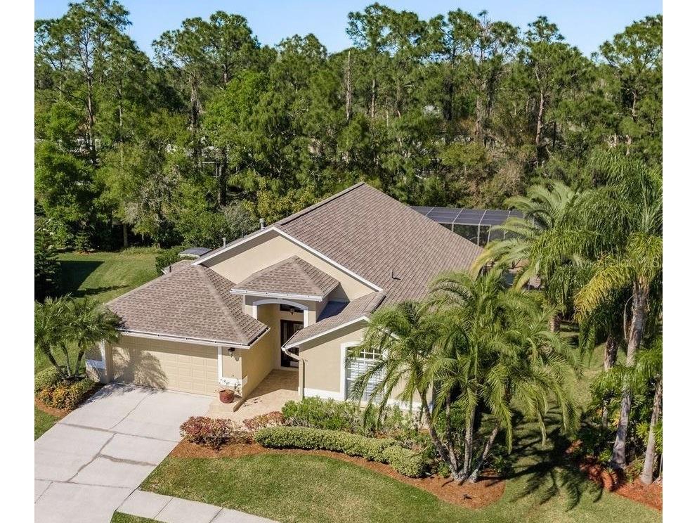 14709 Coral Berry Drive Tampa FL 33626 TB8364135 image1