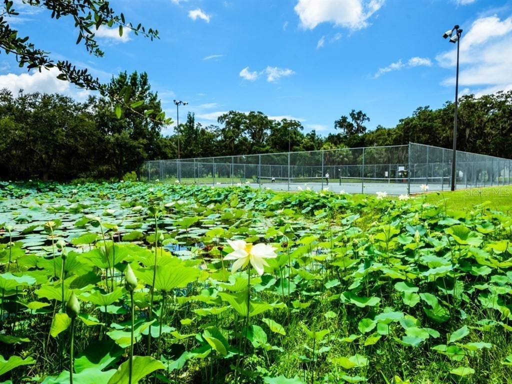 1471 Arcadia Avenue Sarasota FL 34232 - ARCADIA AVE A4642309 image83