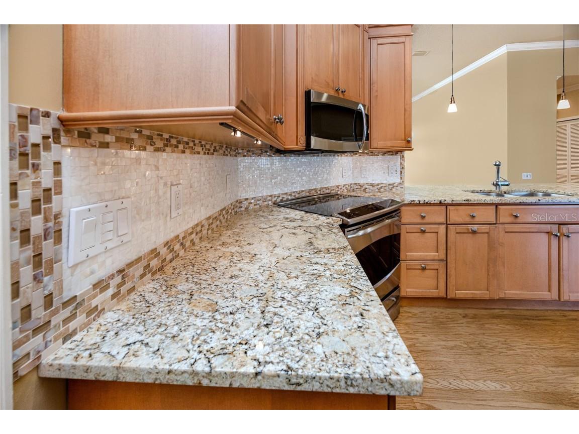 1471 Briargrove Way Oldsmar FL 34677 TB8428829 image27