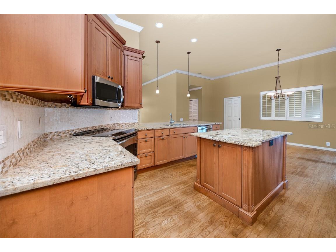 1471 Briargrove Way Oldsmar FL 34677 TB8428829 image28