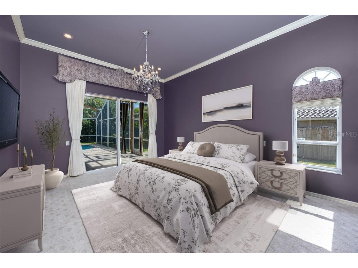 1471 Briargrove Way Oldsmar FL 34677 TB8428829 image54