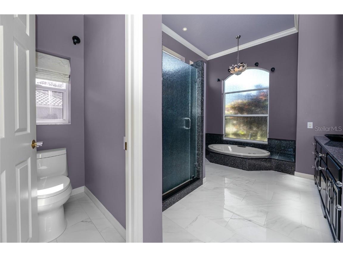 1471 Briargrove Way Oldsmar FL 34677 TB8428829 image60