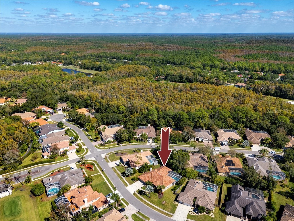 1471 Briargrove Way Oldsmar FL 34677 TB8428829 image80