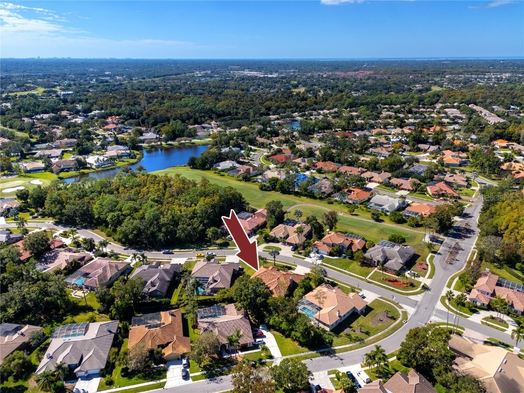 1471 Briargrove Way Oldsmar FL 34677 TB8428829 image81