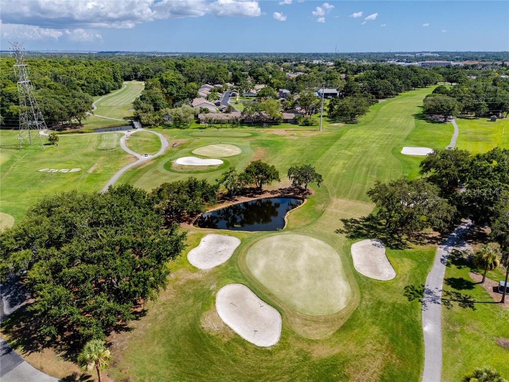 1471 Briargrove Way Oldsmar FL 34677 TB8428829 image98