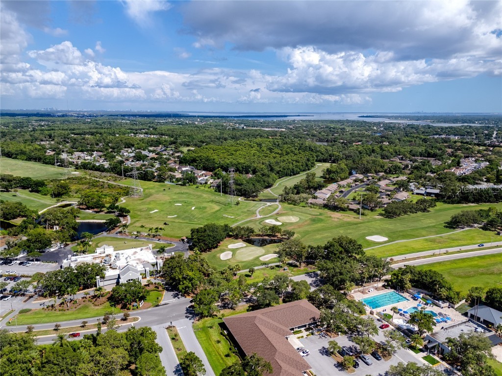 1471 Briargrove Way Oldsmar FL 34677 TB8428829 image99