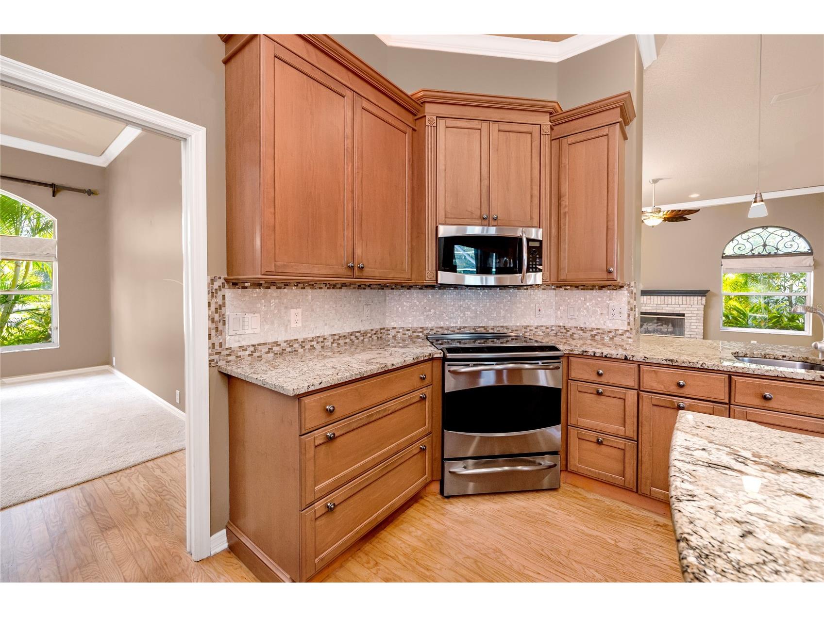 1471 Briargrove Way Oldsmar FL 34677 TB8488174 image24