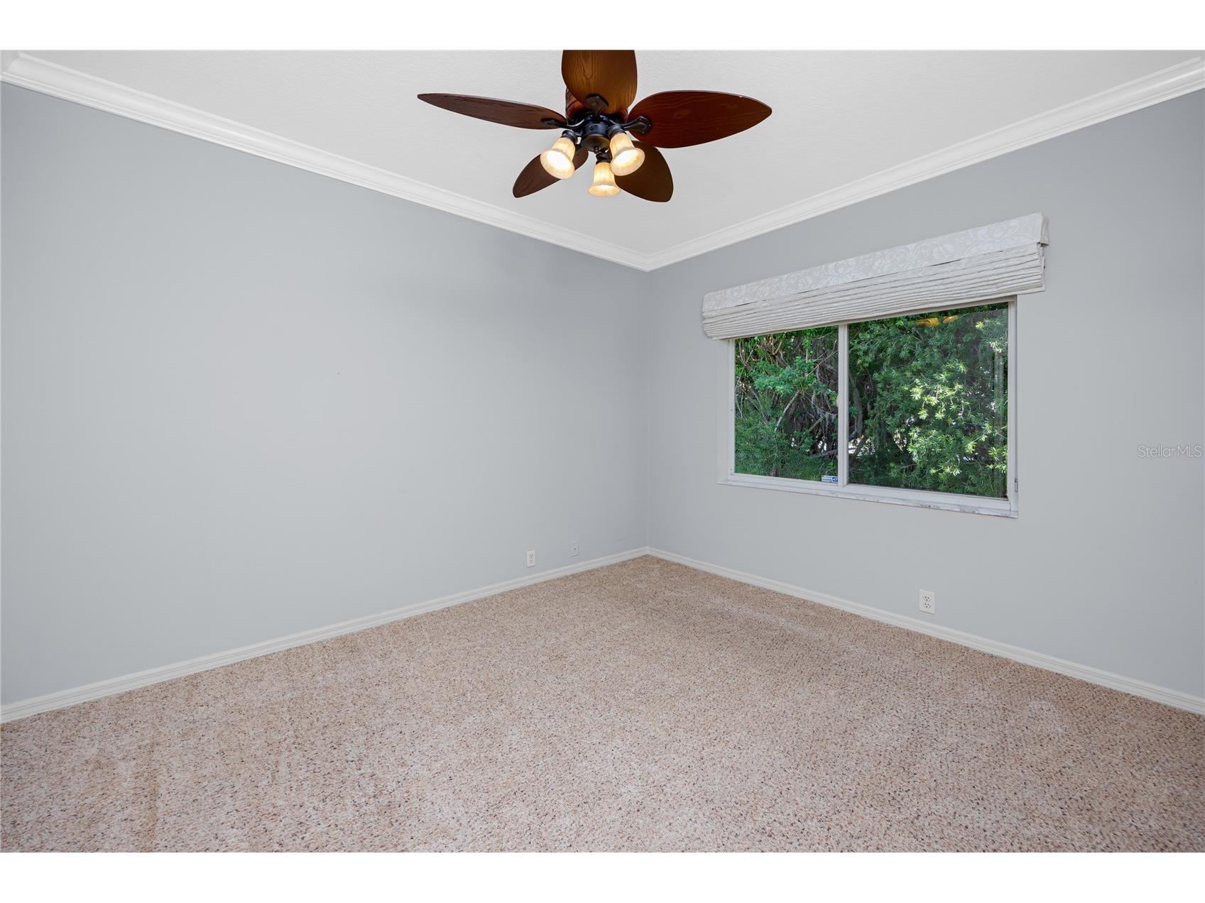 1471 Briargrove Way Oldsmar FL 34677 TB8488174 image38