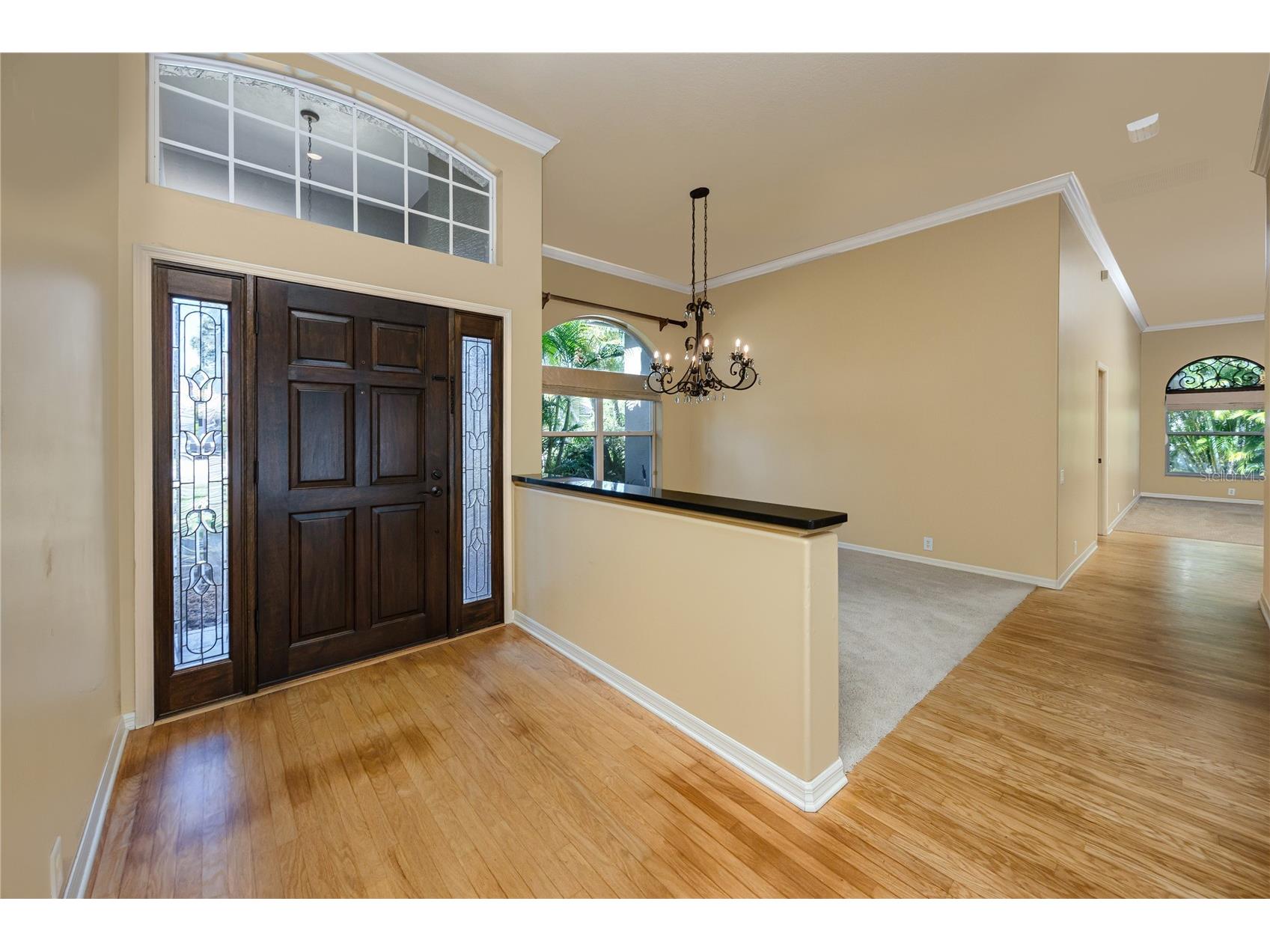 1471 Briargrove Way Oldsmar FL 34677 TB8488174 image5