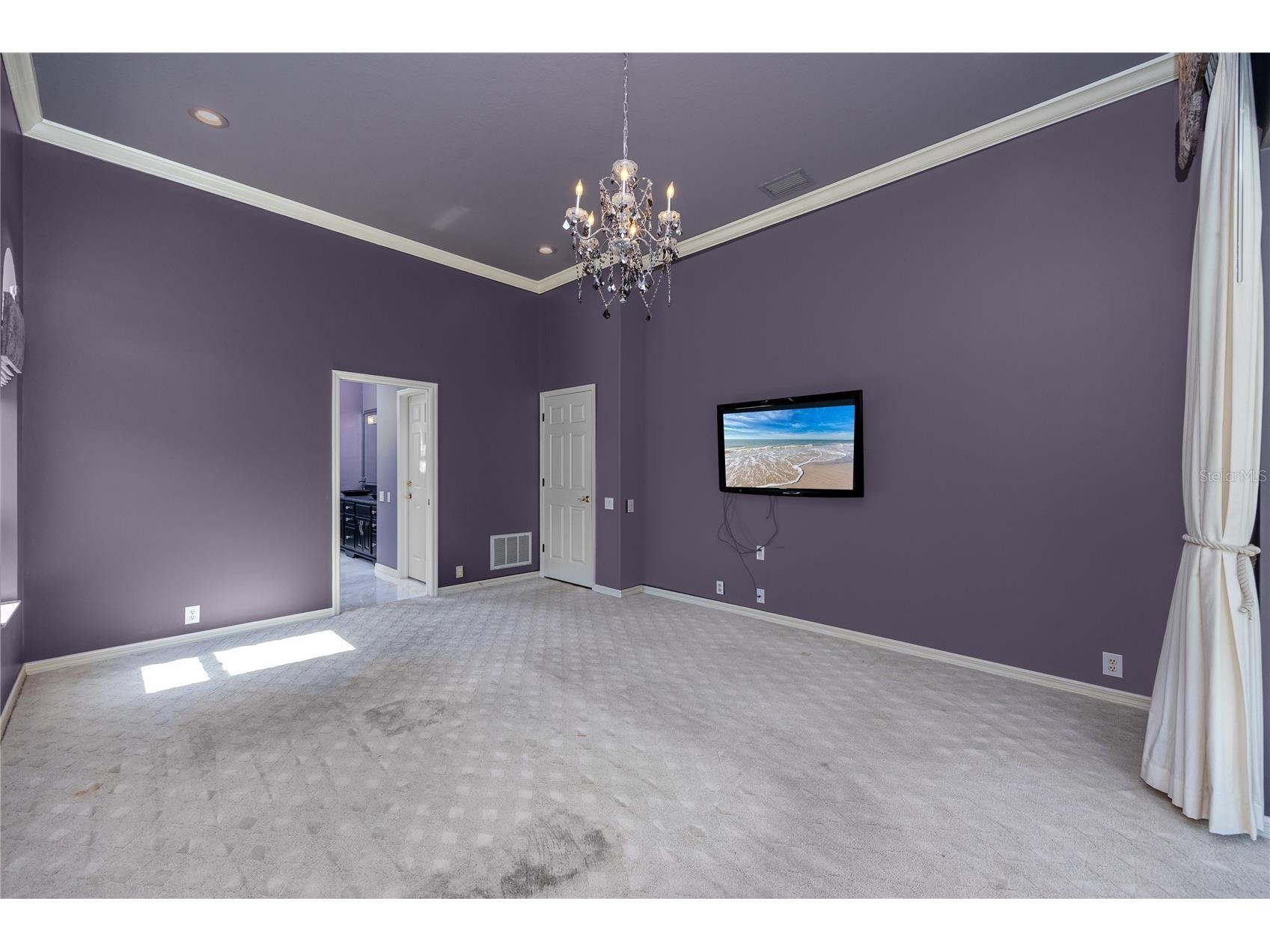 1471 Briargrove Way Oldsmar FL 34677 TB8488174 image55