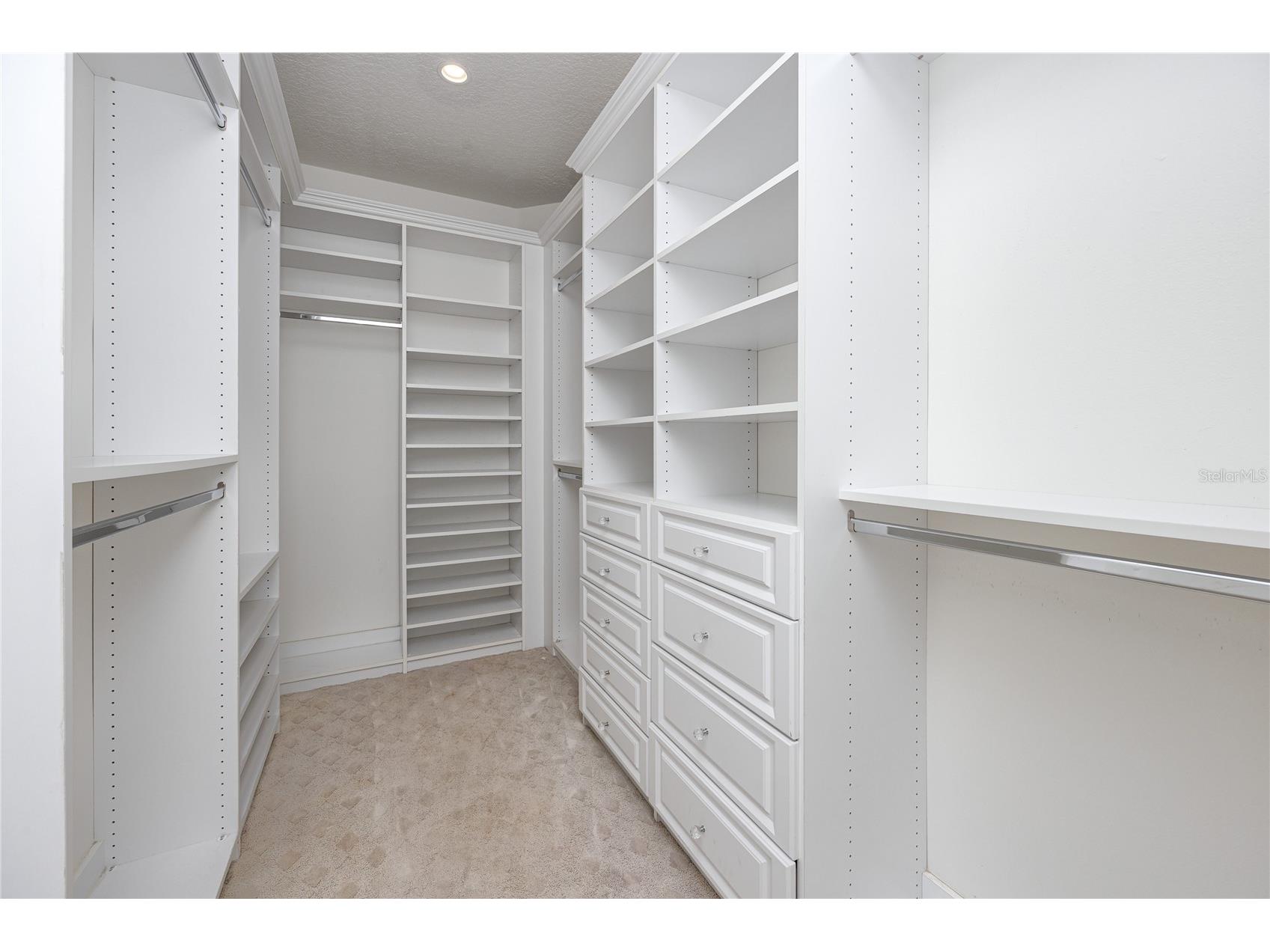 1471 Briargrove Way Oldsmar FL 34677 TB8488174 image56