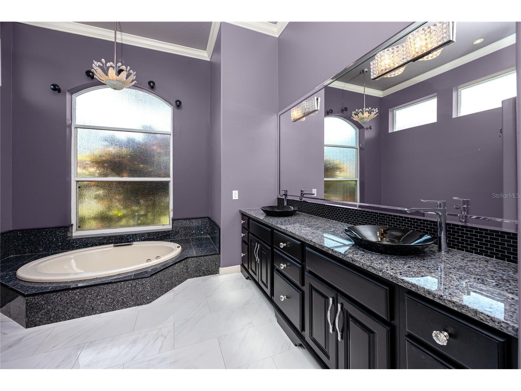 1471 Briargrove Way Oldsmar FL 34677 TB8488174 image59