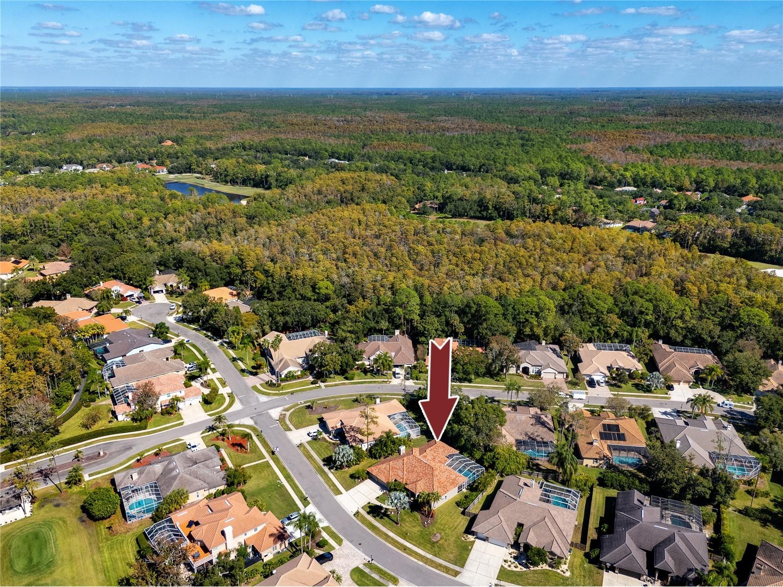 1471 Briargrove Way Oldsmar FL 34677 TB8488174 image78