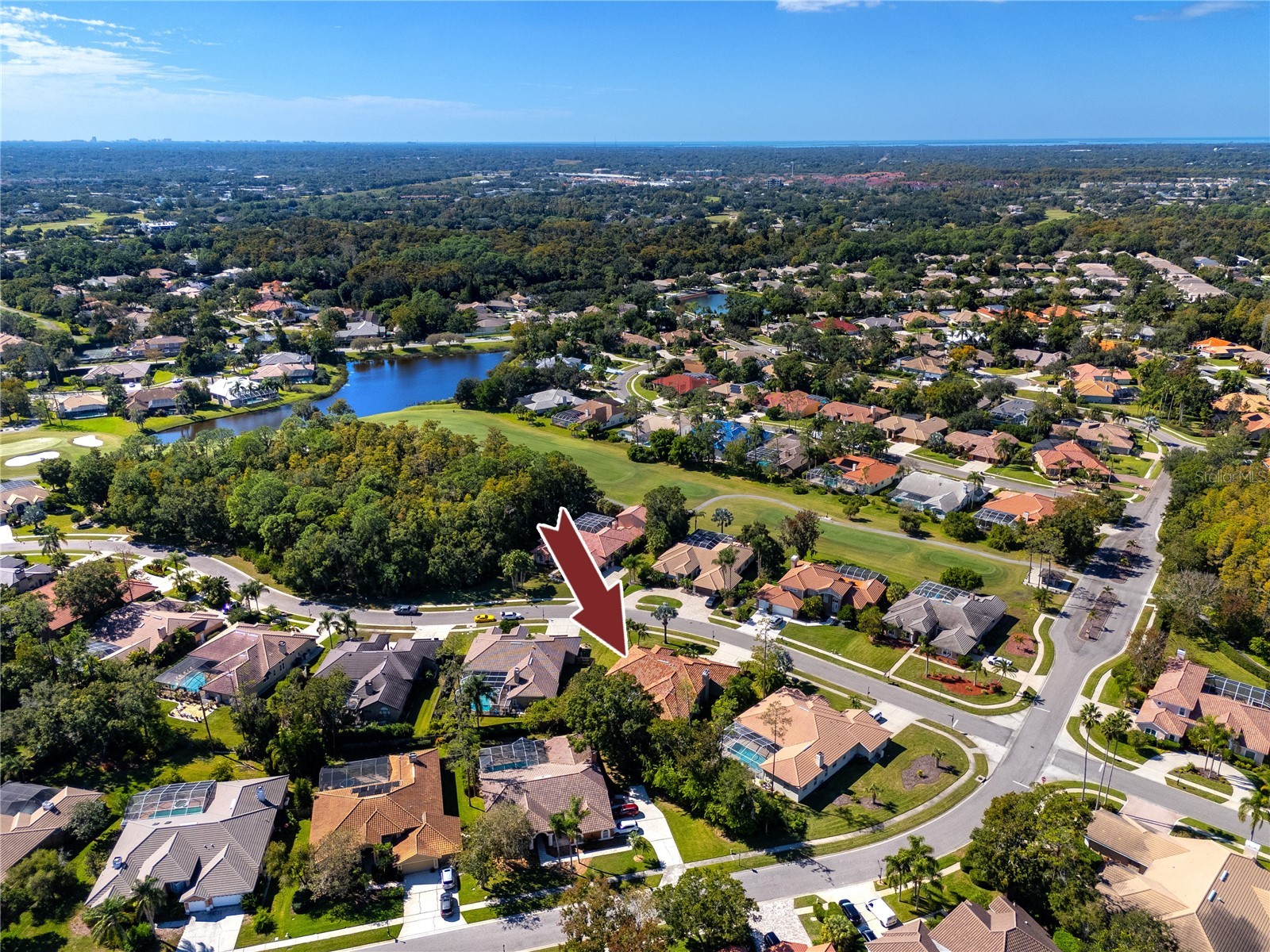 1471 Briargrove Way Oldsmar FL 34677 TB8488174 image79