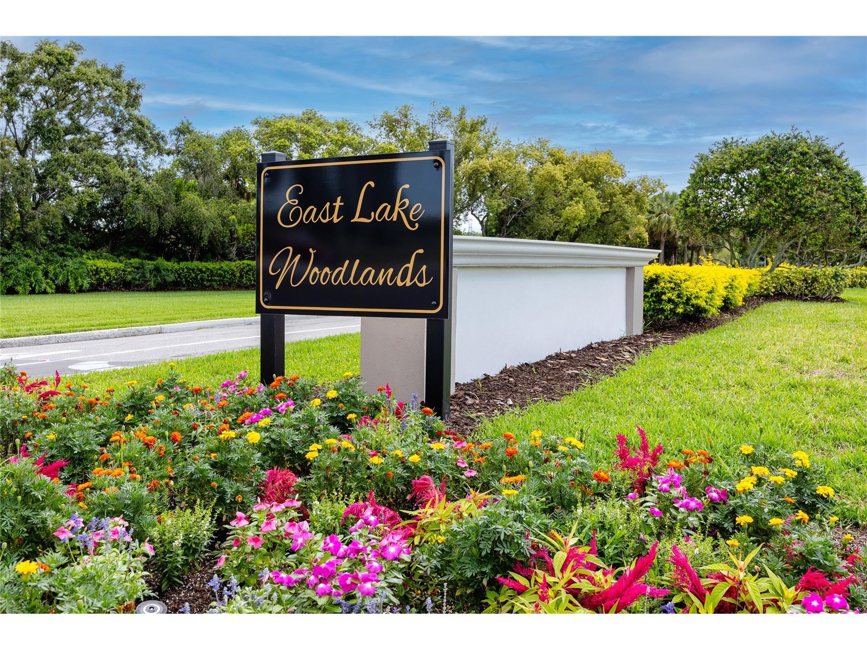 1471 Briargrove Way Oldsmar FL 34677 TB8488174 image83