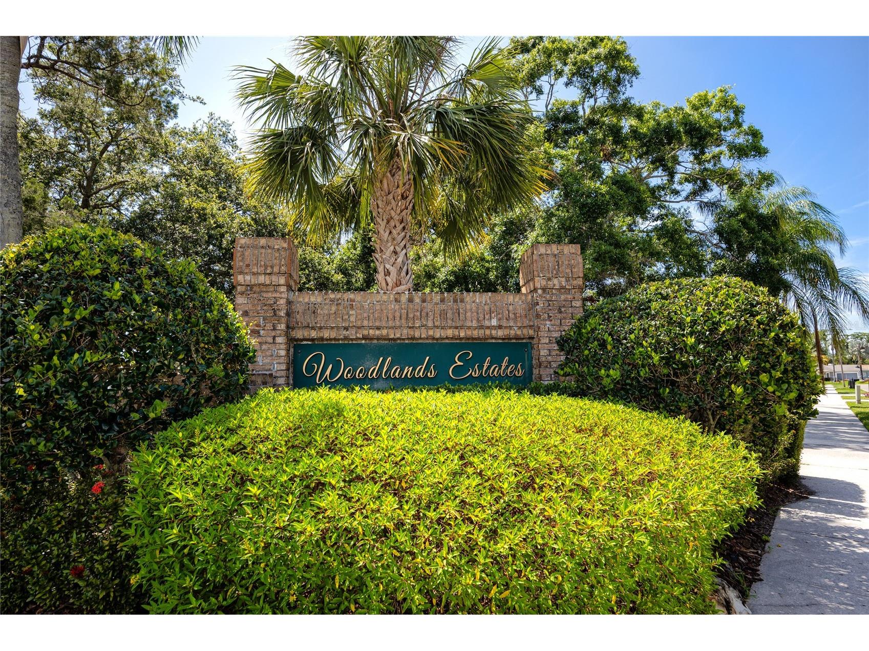 1471 Briargrove Way Oldsmar FL 34677 TB8488174 image86