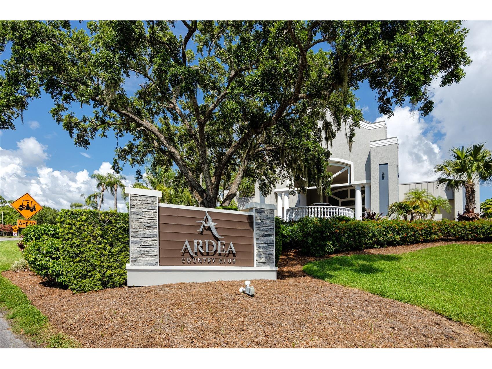 1471 Briargrove Way Oldsmar FL 34677 TB8488174 image88