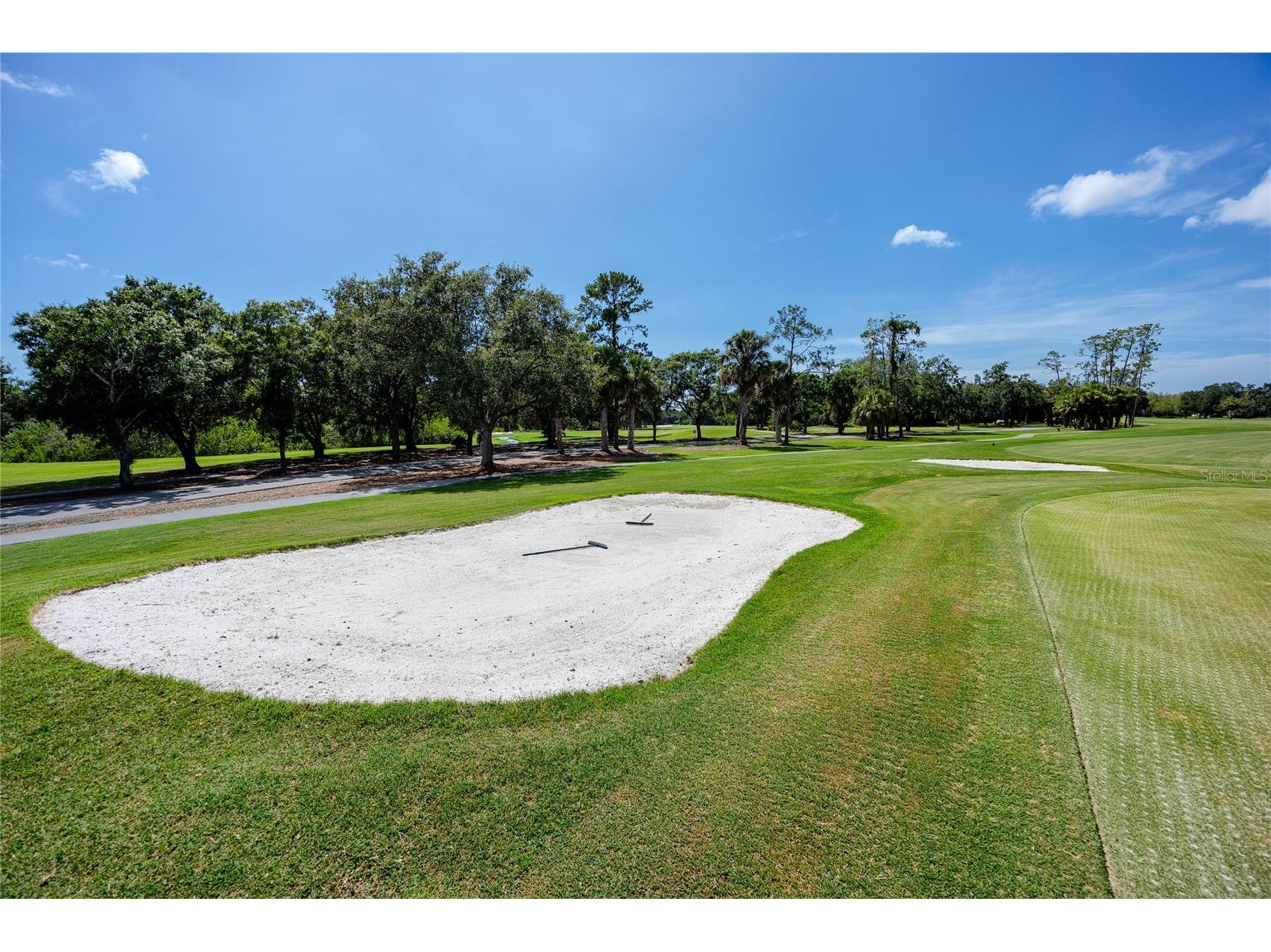 1471 Briargrove Way Oldsmar FL 34677 TB8488174 image90