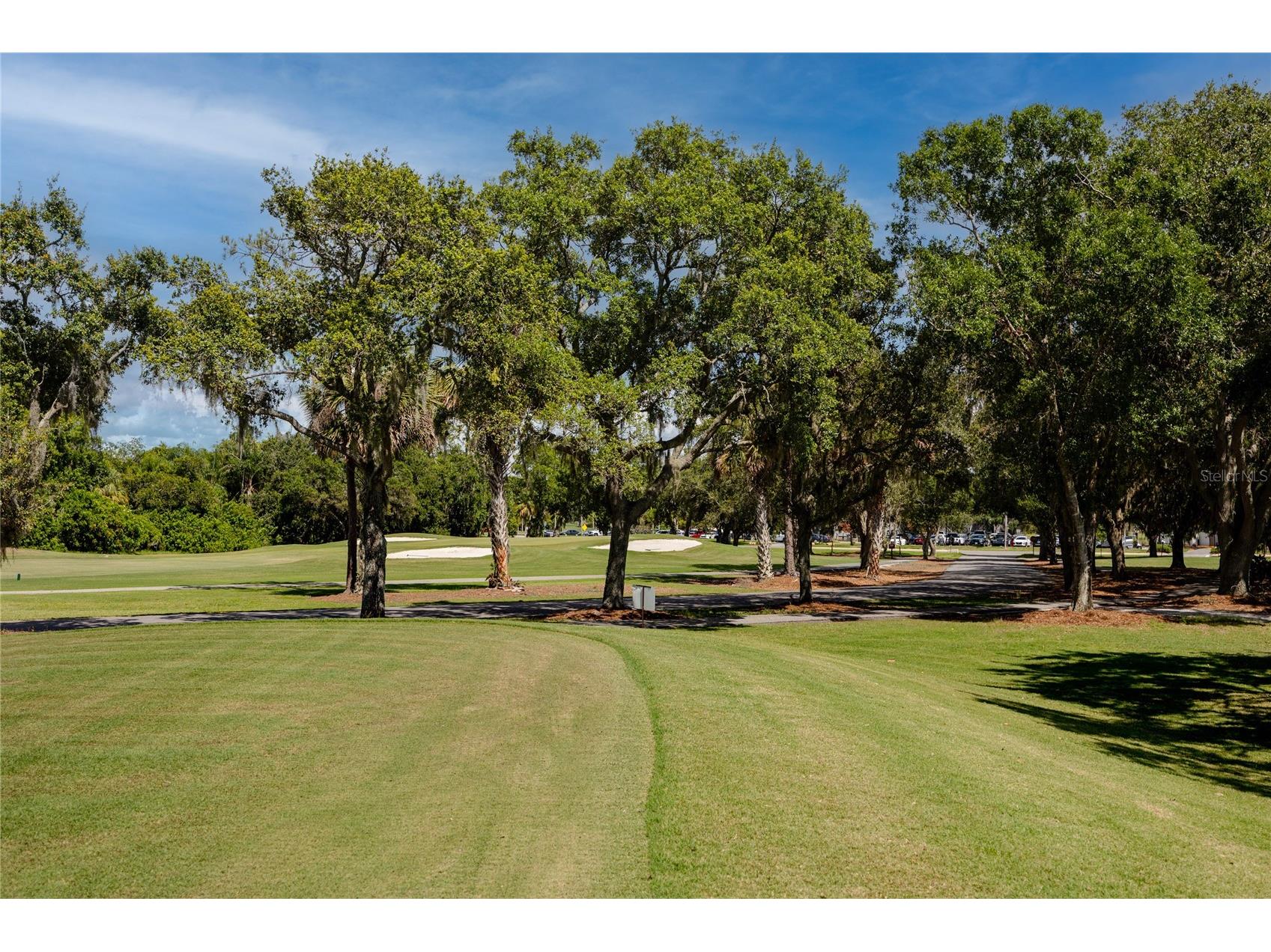 1471 Briargrove Way Oldsmar FL 34677 TB8488174 image91