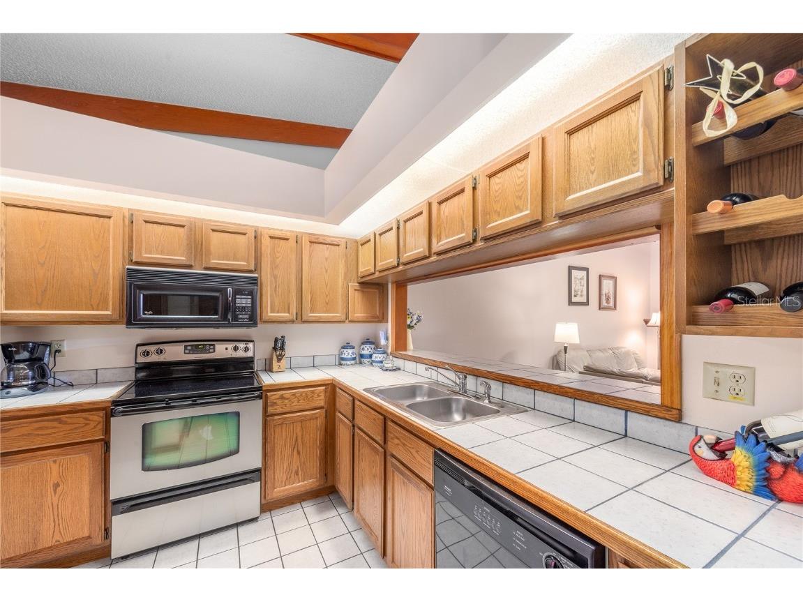 1471 Mahogany Lane #1706 Palm Harbor FL 34683 TB8442018 image12