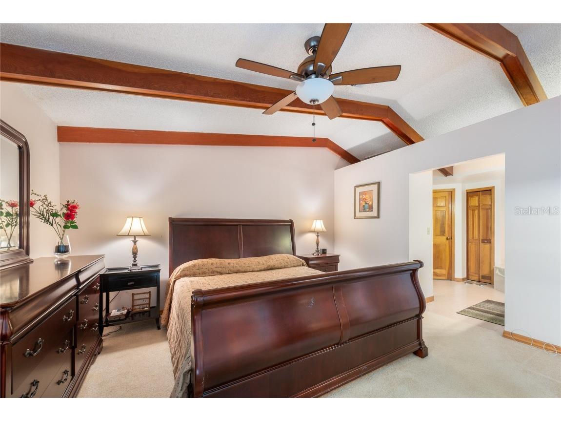 1471 Mahogany Lane #1706 Palm Harbor FL 34683 TB8442018 image18