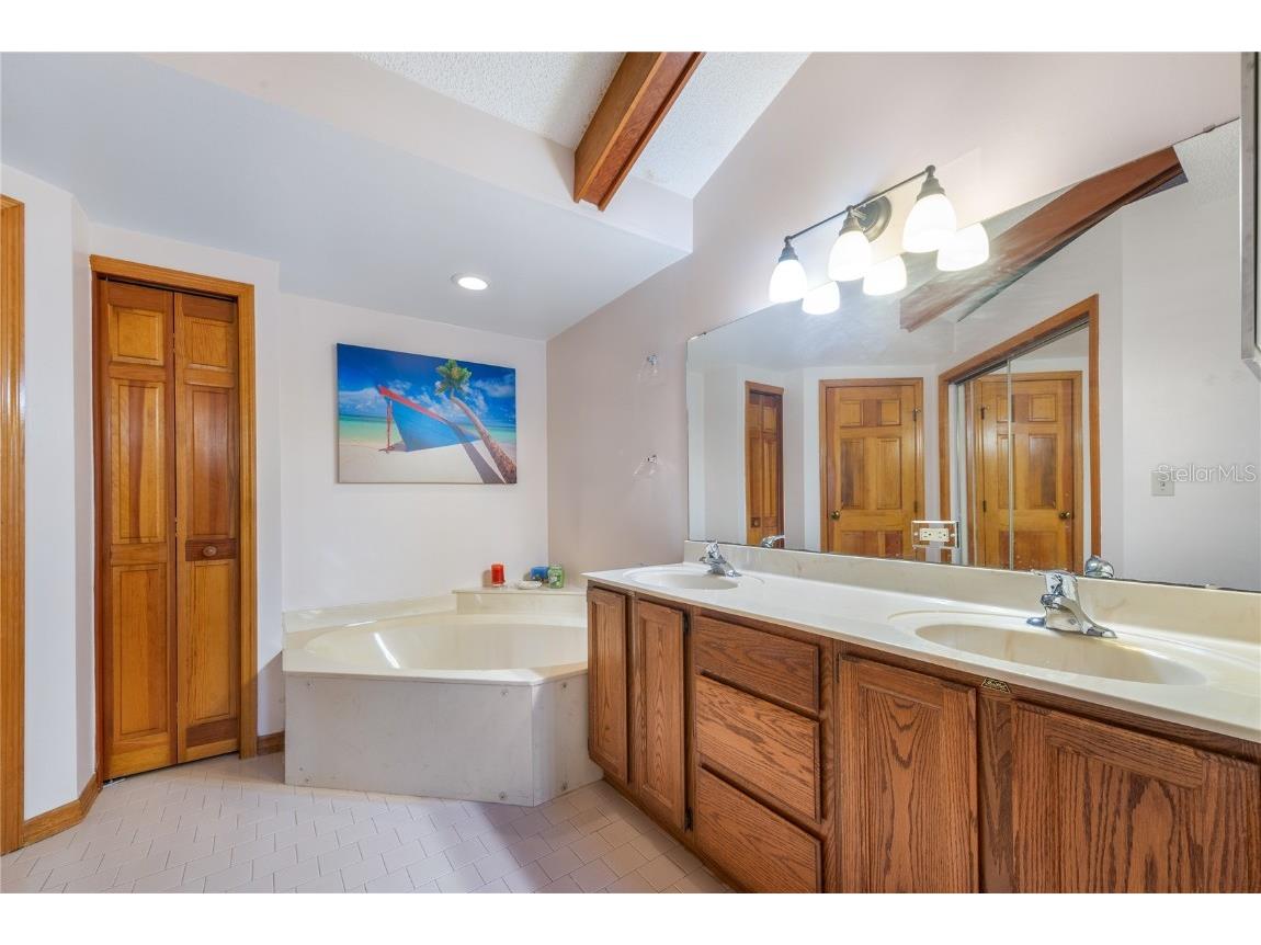 1471 Mahogany Lane #1706 Palm Harbor FL 34683 TB8442018 image22