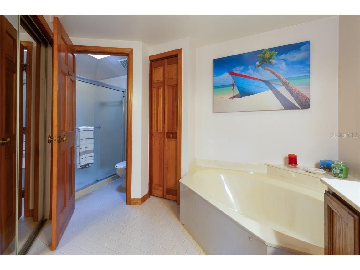 1471 Mahogany Lane #1706 Palm Harbor FL 34683 TB8442018 image23