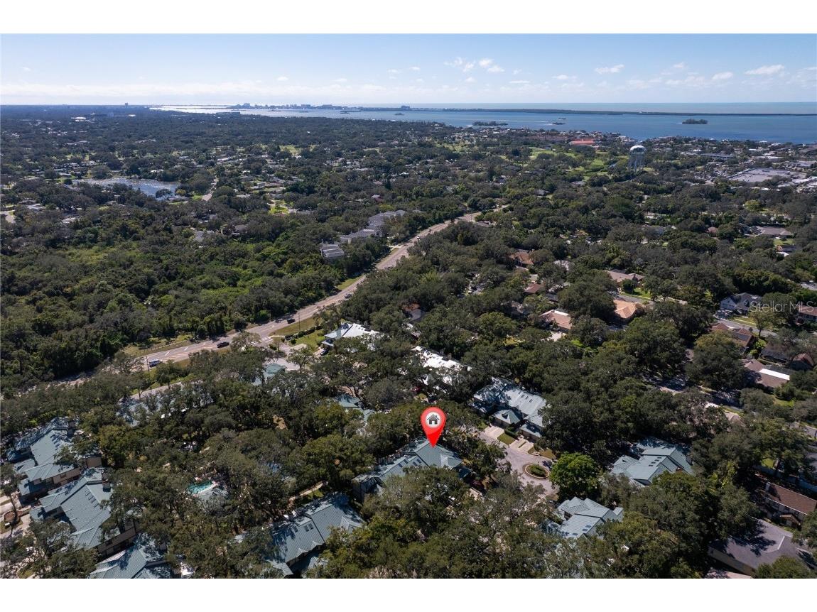 1471 Mahogany Lane #1706 Palm Harbor FL 34683 TB8442018 image3