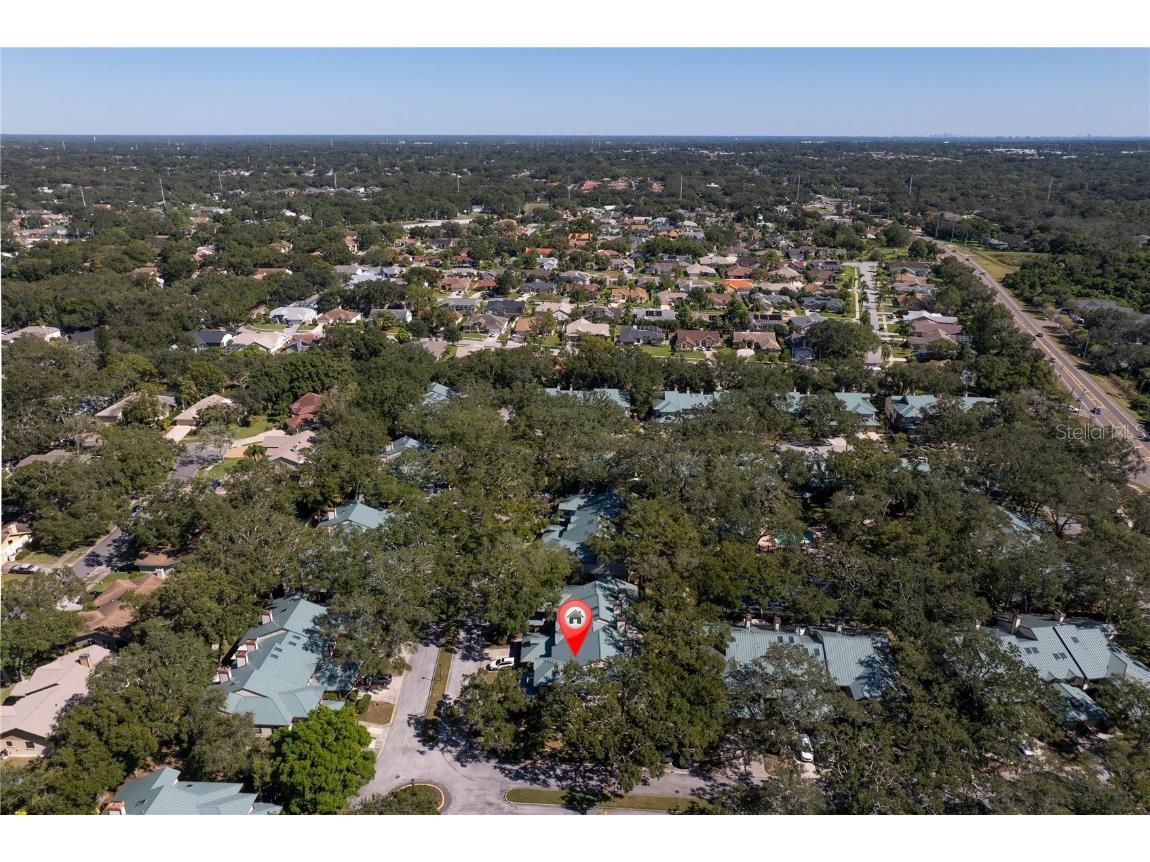 1471 Mahogany Lane #1706 Palm Harbor FL 34683 TB8442018 image36