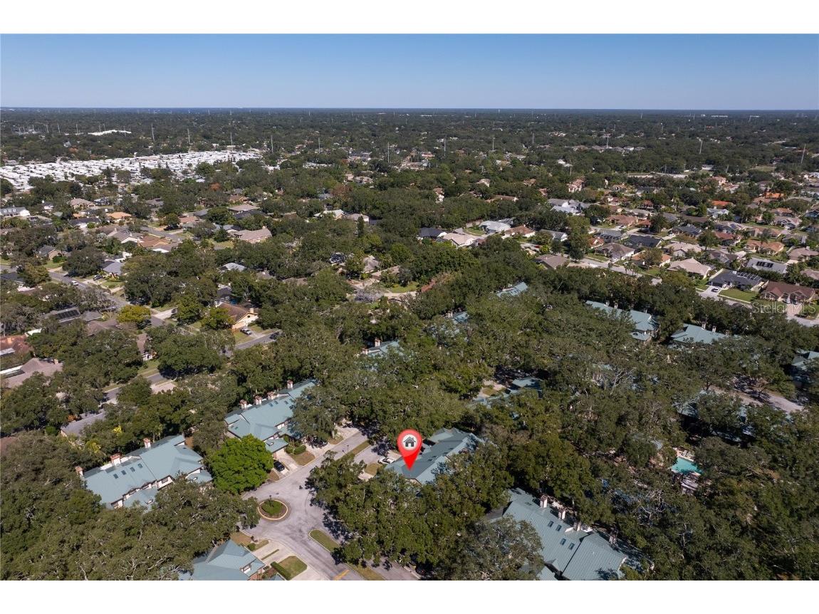 1471 Mahogany Lane #1706 Palm Harbor FL 34683 TB8442018 image37