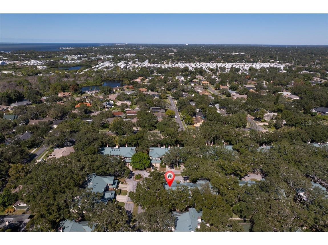 1471 Mahogany Lane #1706 Palm Harbor FL 34683 TB8442018 image38