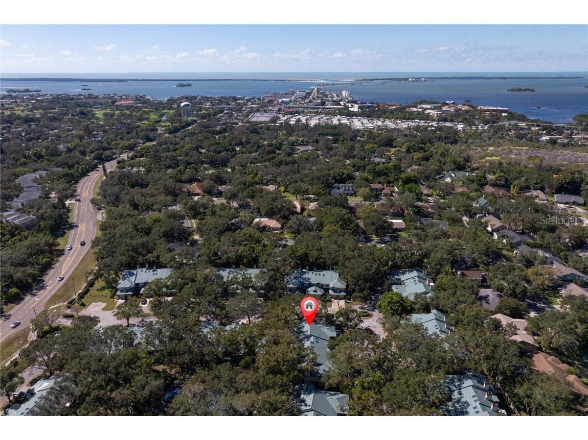 1471 Mahogany Lane #1706 Palm Harbor FL 34683 TB8442018 image40