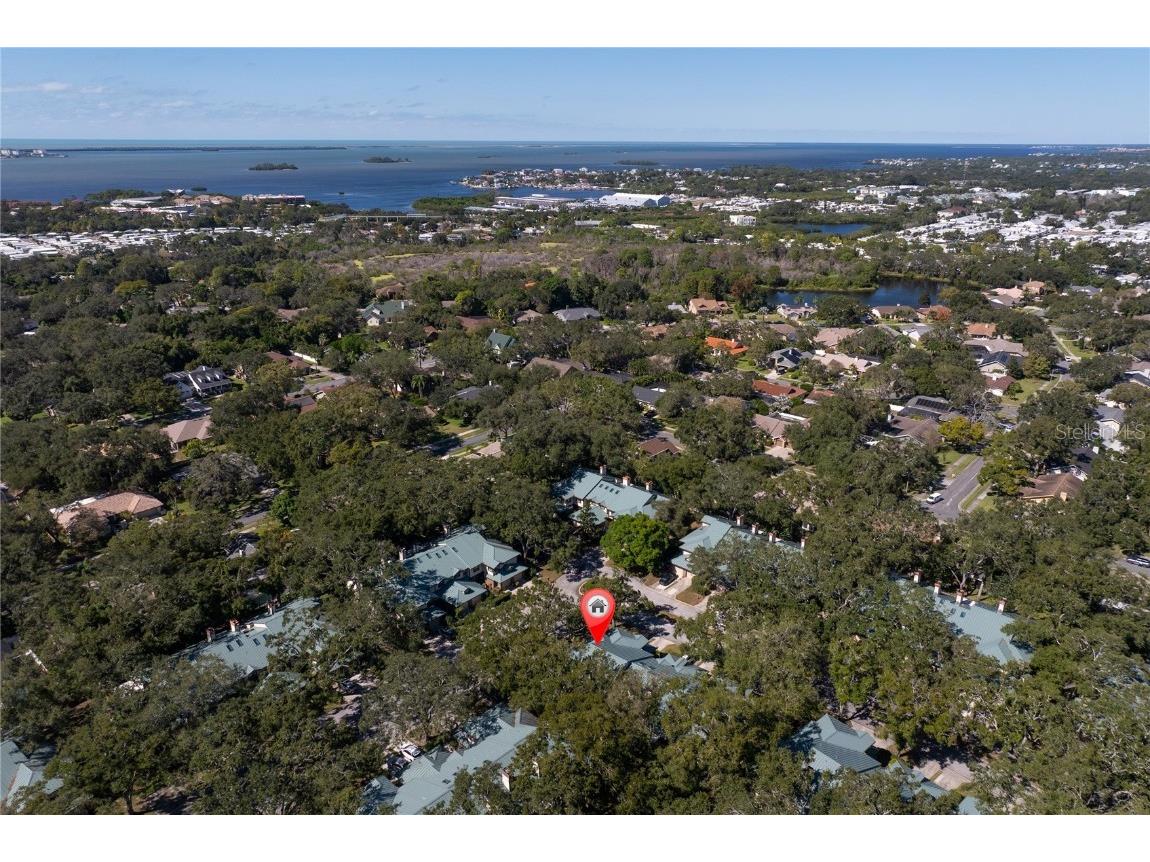 1471 Mahogany Lane #1706 Palm Harbor FL 34683 TB8442018 image41