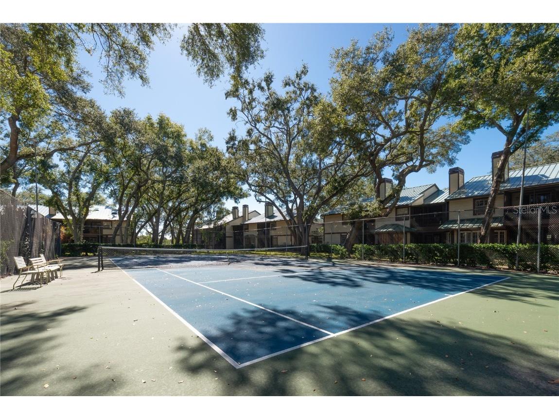 1471 Mahogany Lane #1706 Palm Harbor FL 34683 TB8442018 image43