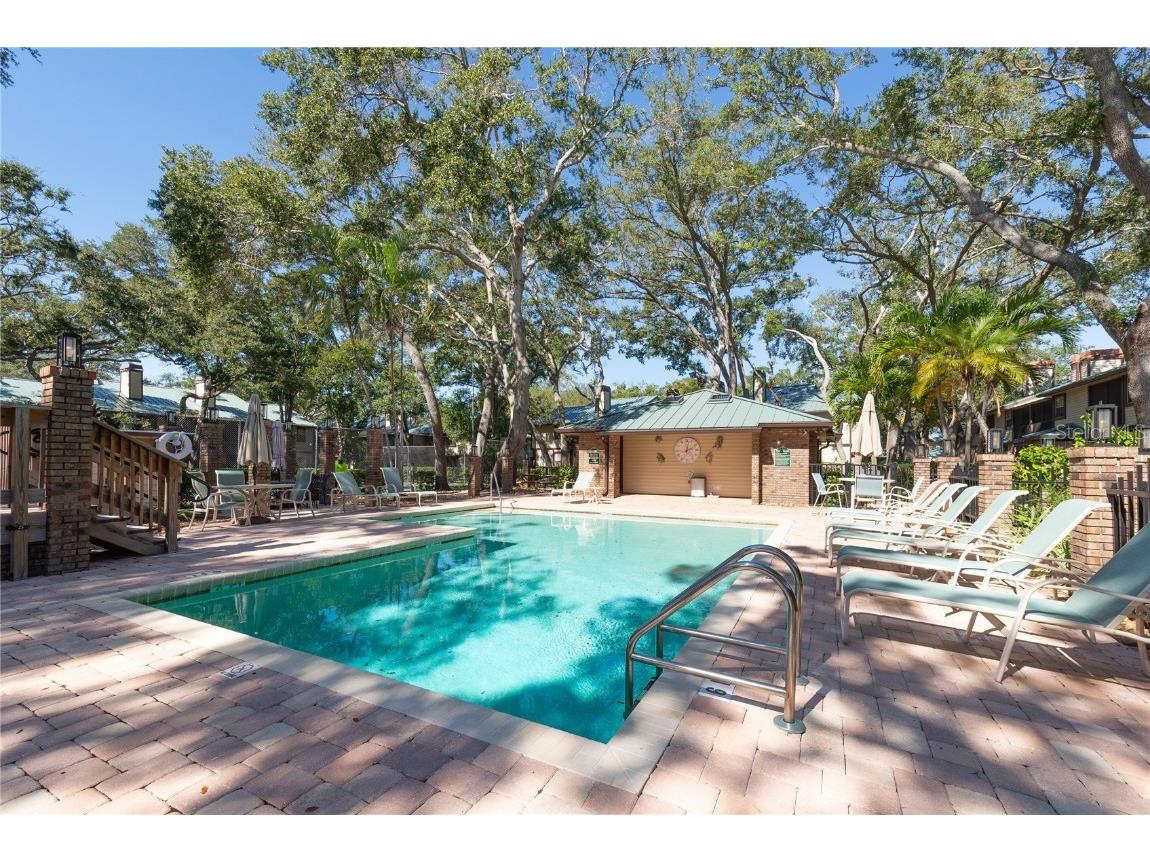 1471 Mahogany Lane #1706 Palm Harbor FL 34683 TB8442018 image5