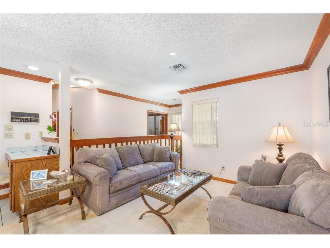 1471 Mahogany Lane #1706 Palm Harbor FL 34683 TB8442018 image9