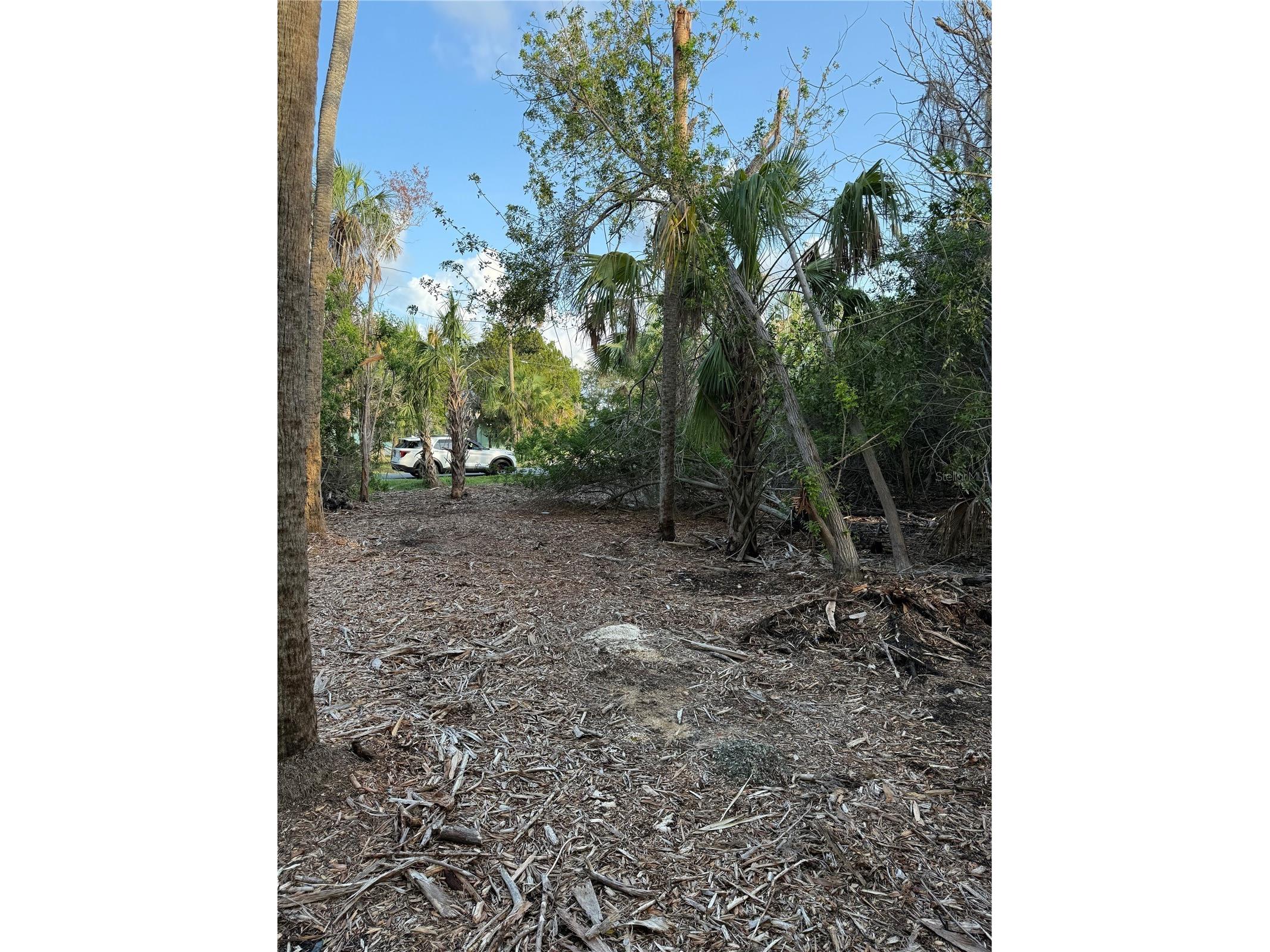 1471 S Estuary Drive Crystal River FL 34429 FC317258 image3