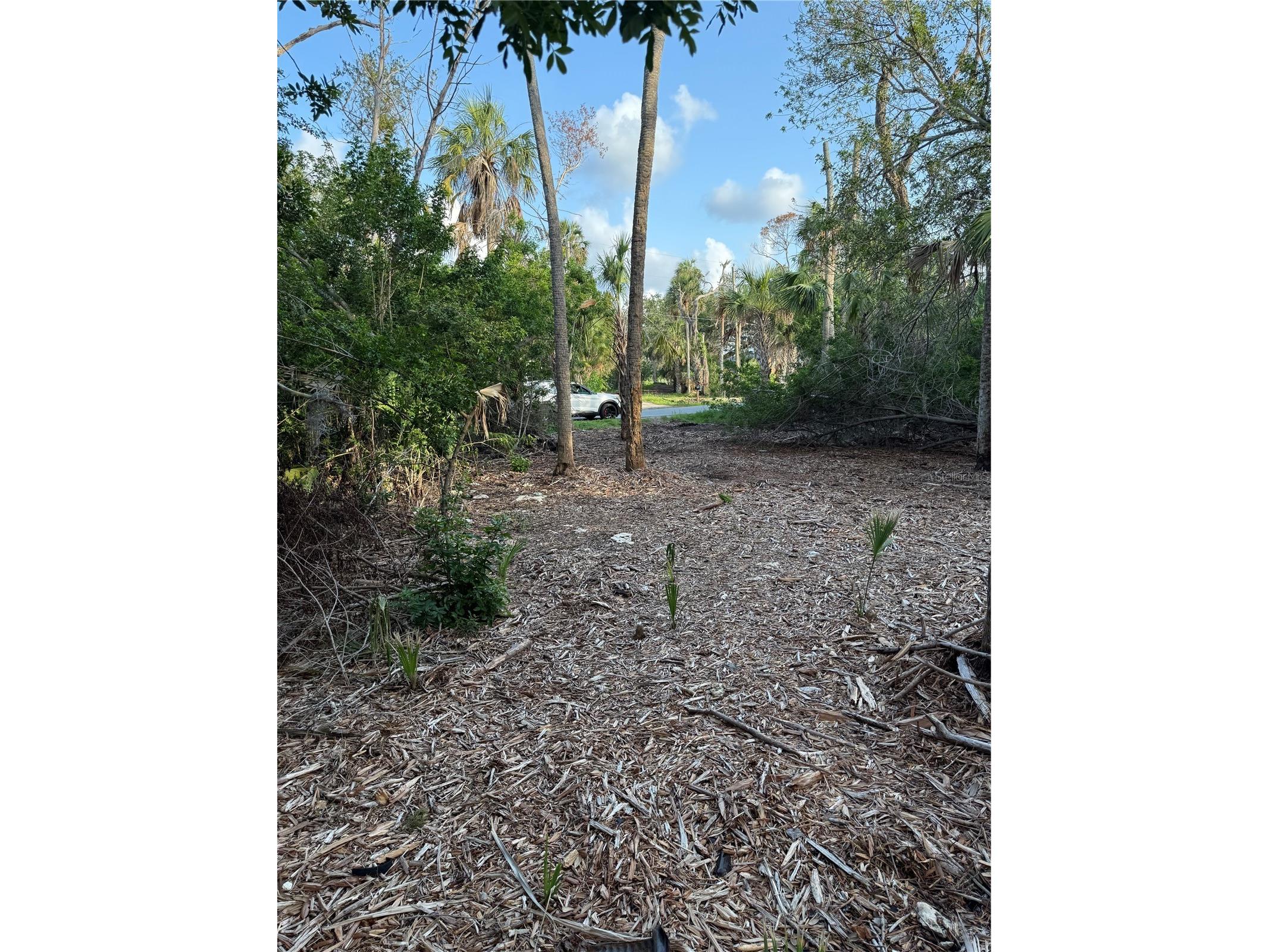 1471 S Estuary Drive Crystal River FL 34429 FC317258 image4