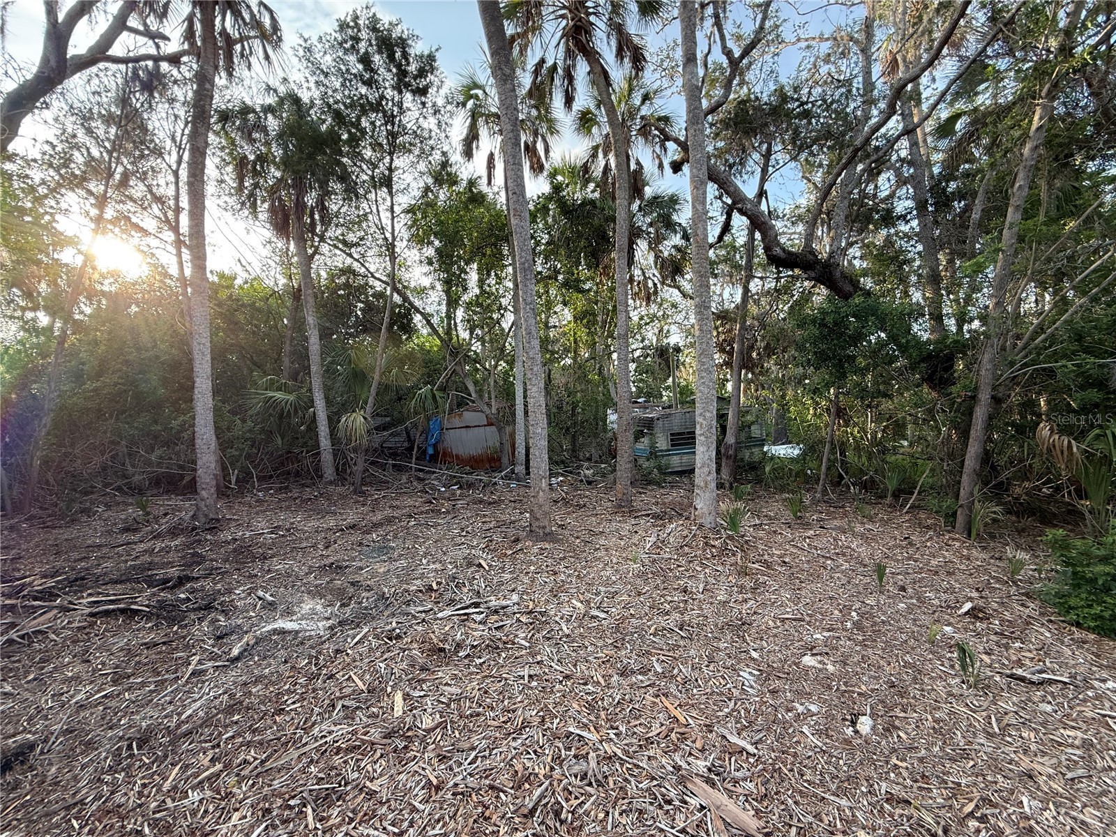 1471 S Estuary Drive Crystal River FL 34429 FC317258 image6