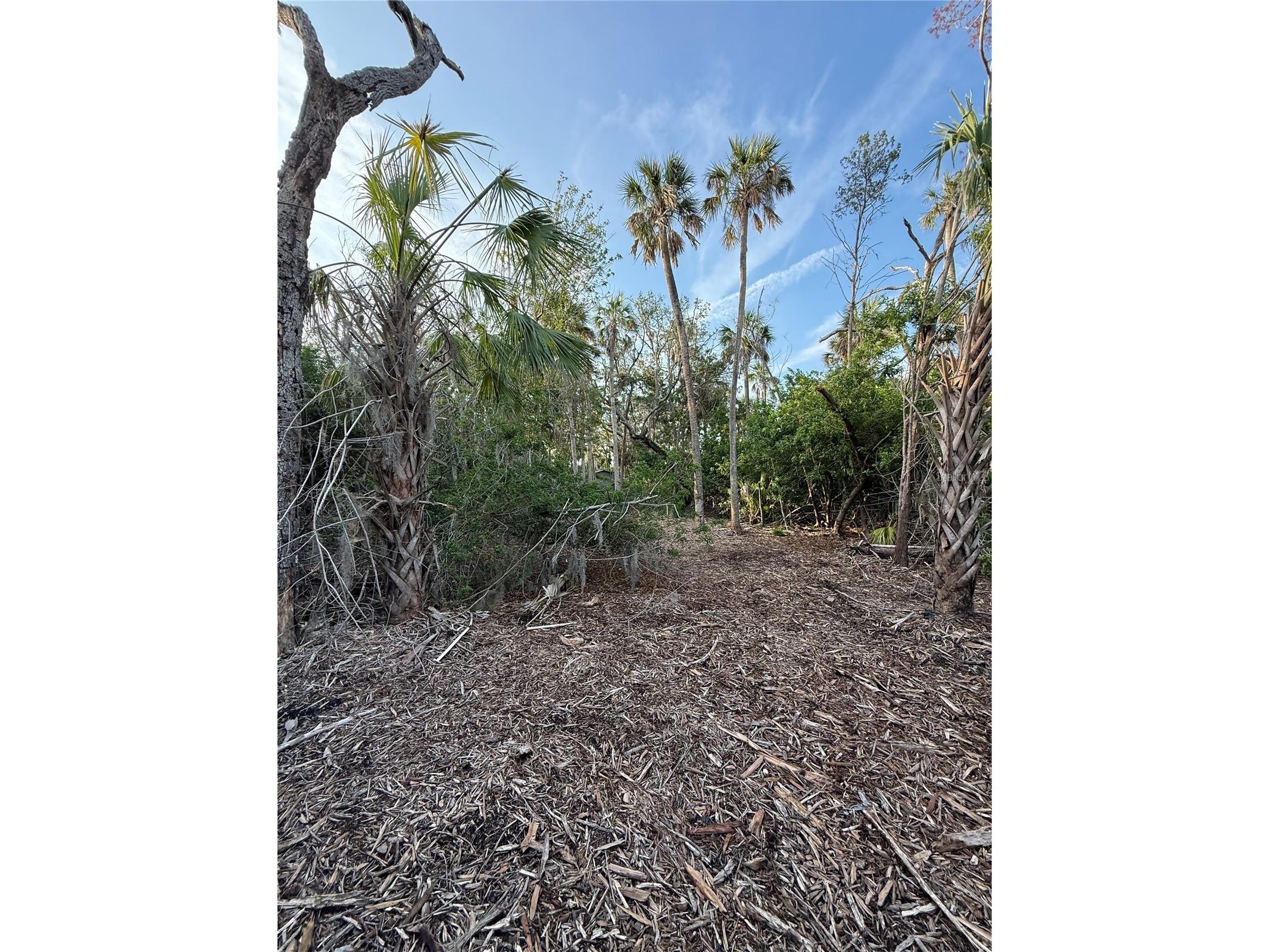 1471 S Estuary Drive Crystal River FL 34429 FC317258 image7