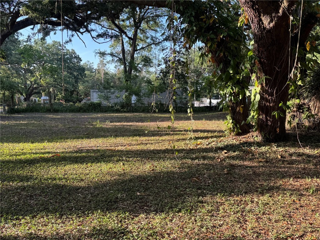 14711 N 30th Street Lutz FL 33559 TB8380144 image1