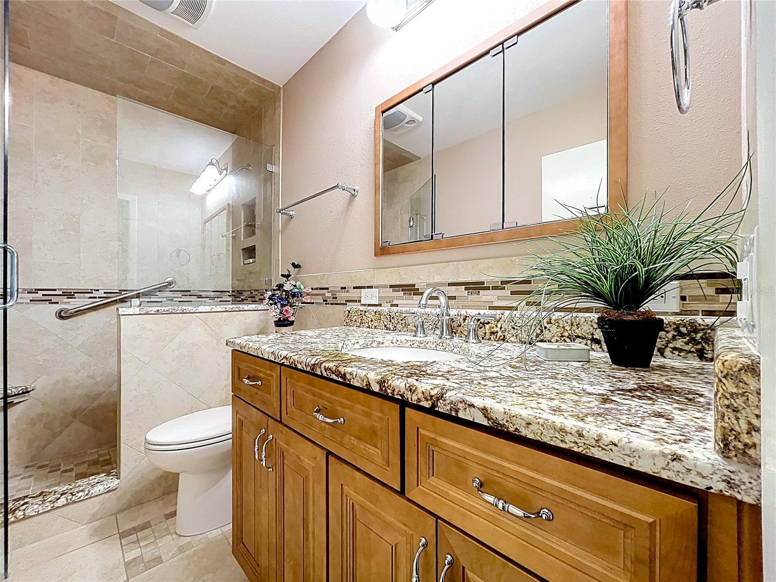 14711 Tall Tree Drive Lutz FL 33559 W7884855 image24