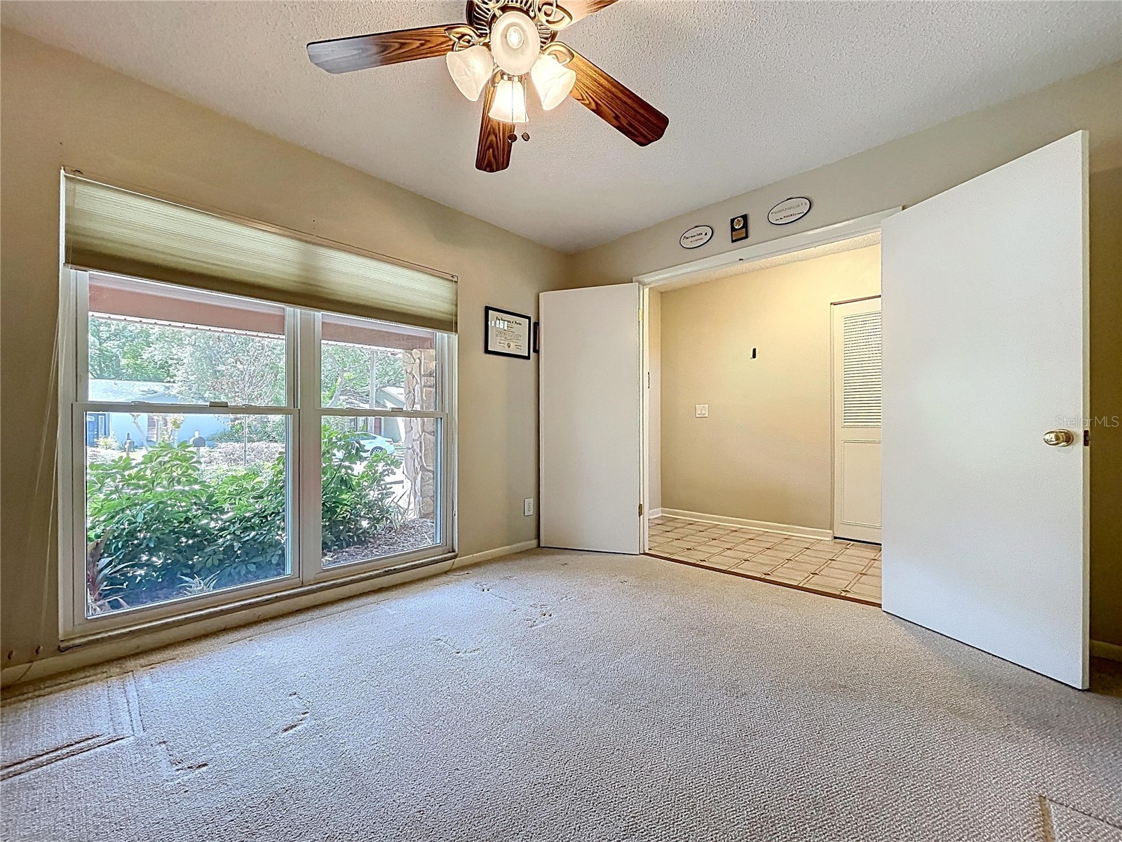 14711 Tall Tree Drive Lutz FL 33559 W7884855 image26