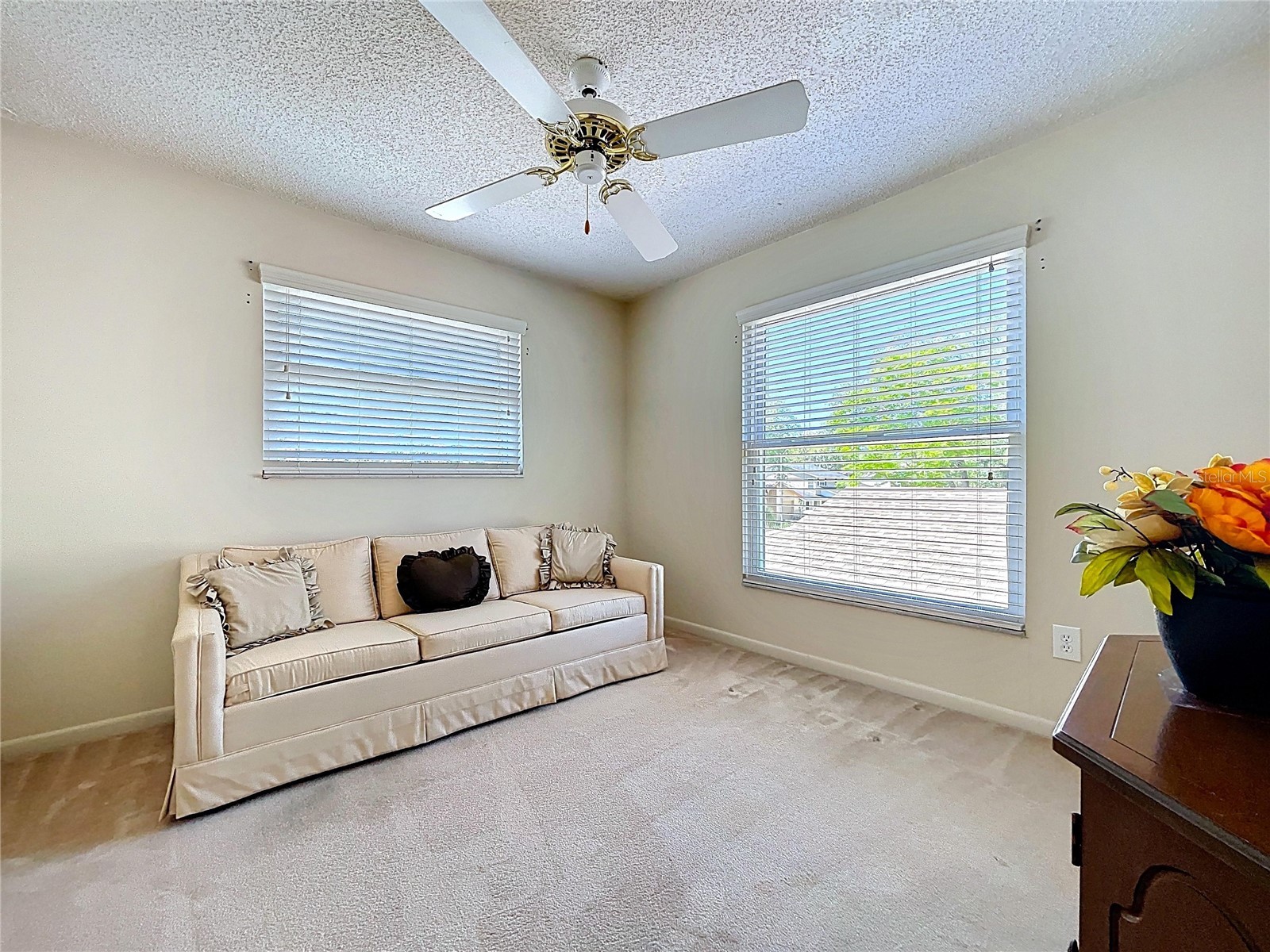 14711 Tall Tree Drive Lutz FL 33559 W7884855 image31